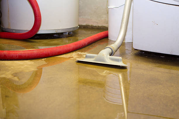 Best Flood damage cleanup  in Frisco, TX
