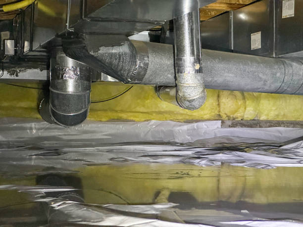 Best Flood restoration services  in Frisco, TX